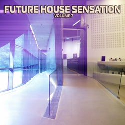 Future House Sensation, Vol. 7 (Best Clubbing House Tracks)