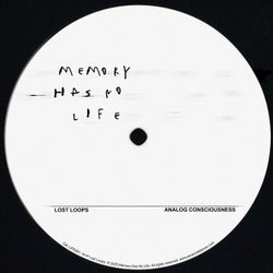 Analog Consciousness