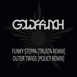 Funky Steppa (Trusta Remix) / Outer Twigs (Policy Remix)
