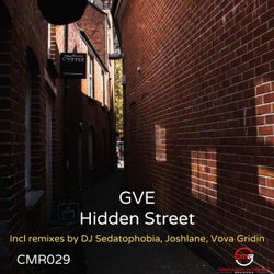Hidden Street