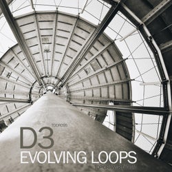 Evolving Loops