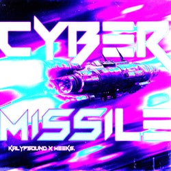 Cyber Missile