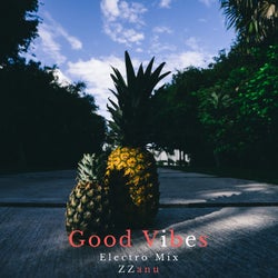 Good Vibes (Electro Mix)
