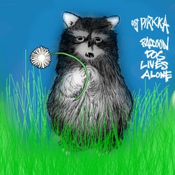 Raccoon Dog Lives Alone