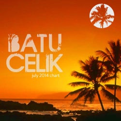 Batu Celik's July 2014 Chart