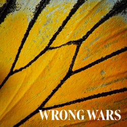 Wrong Wars