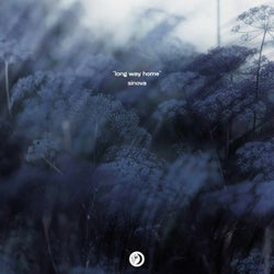 Long Way Home