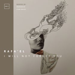 I Will Not Forget You