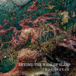 Beyond the Wall of Sleep