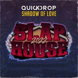 Shadow of Love (Slaphouse 2022)