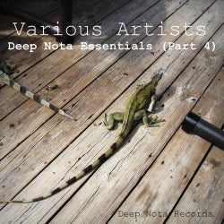 Deep Nota Essentials (Part 4)