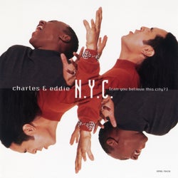 N.Y.C. (Can You Believe This City?)