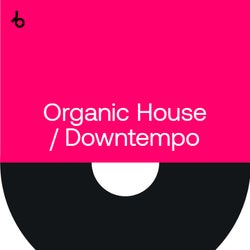 Crate Diggers 2021: Organic House / Downtempo