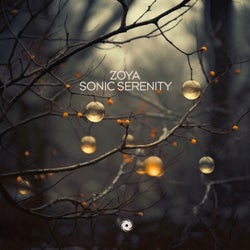 Sonic Serenity