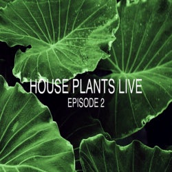 House Plants Live: Episode 2