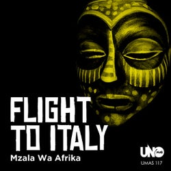 Flight to Italy
