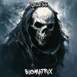 Block 66
