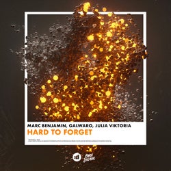 Hard to Forget (Extended Mix)