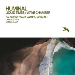 Liquid Times / Wave Chamber
