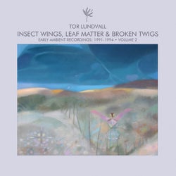 Insect Wings, Leaf Matter & Broken Twigs - Early Ambient Recordings: 1991-1994 Volume 2