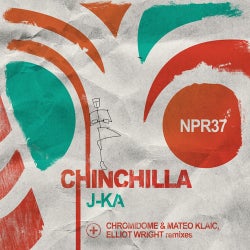 Chinchilla			