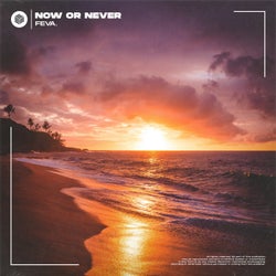 Now Or Never (Extended Mix)