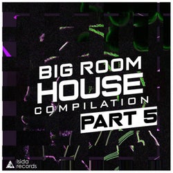 Big Room House Compilation, Pt. 5