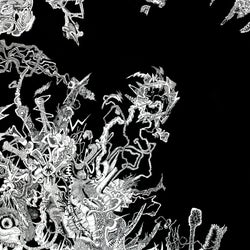 How to Shoulder the Radiance of Revelations