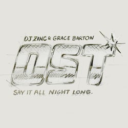 Say It All Night Long