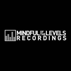 Mindful Of The Levels