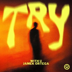 Try (Extended Mix)