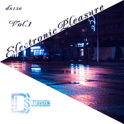 Electronic Pleasure, Vol. 1