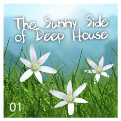 The Sunny Side of Deep House Vol. 1