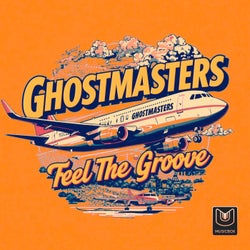 Feel the Groove