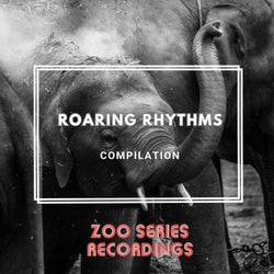 Roaring Rhythms