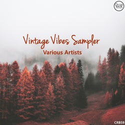 Vintage Vibes Sampler
