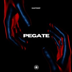 PEGATE