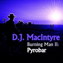 Burning Man: Pyrobar Chart