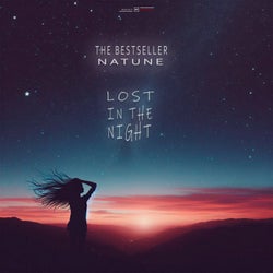 Lost in the Night