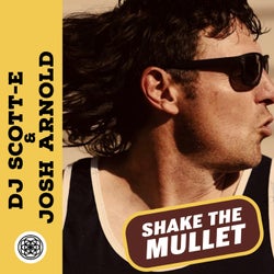 Shake the Mullet