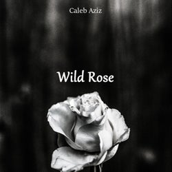 Wild Rose