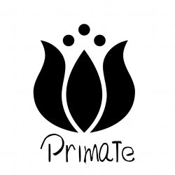 Primate