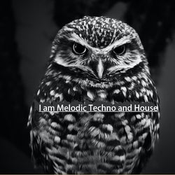 I am Melodic Techno and House