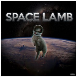 Space Lamb