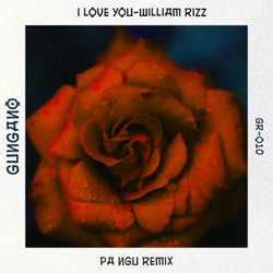 I love you (PA NGU Remix)