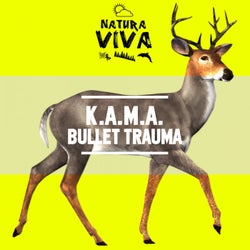 Bullet Trauma