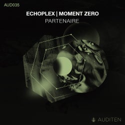 'ECHOPLEX | MOMENT ZERO' Chart 2020