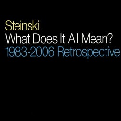 What Does It All Mean? - 1983-2006 Retrospective