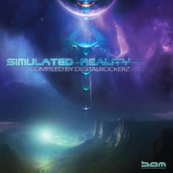 Simulated Reality