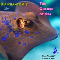 The Colors of Sea
